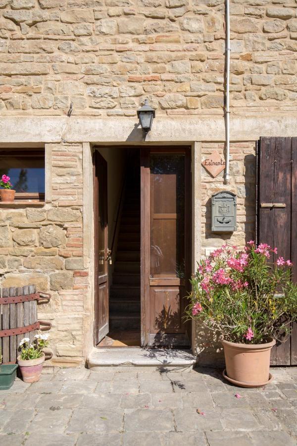 Agriturismo L'Esinante Cupramontana Экстерьер фото