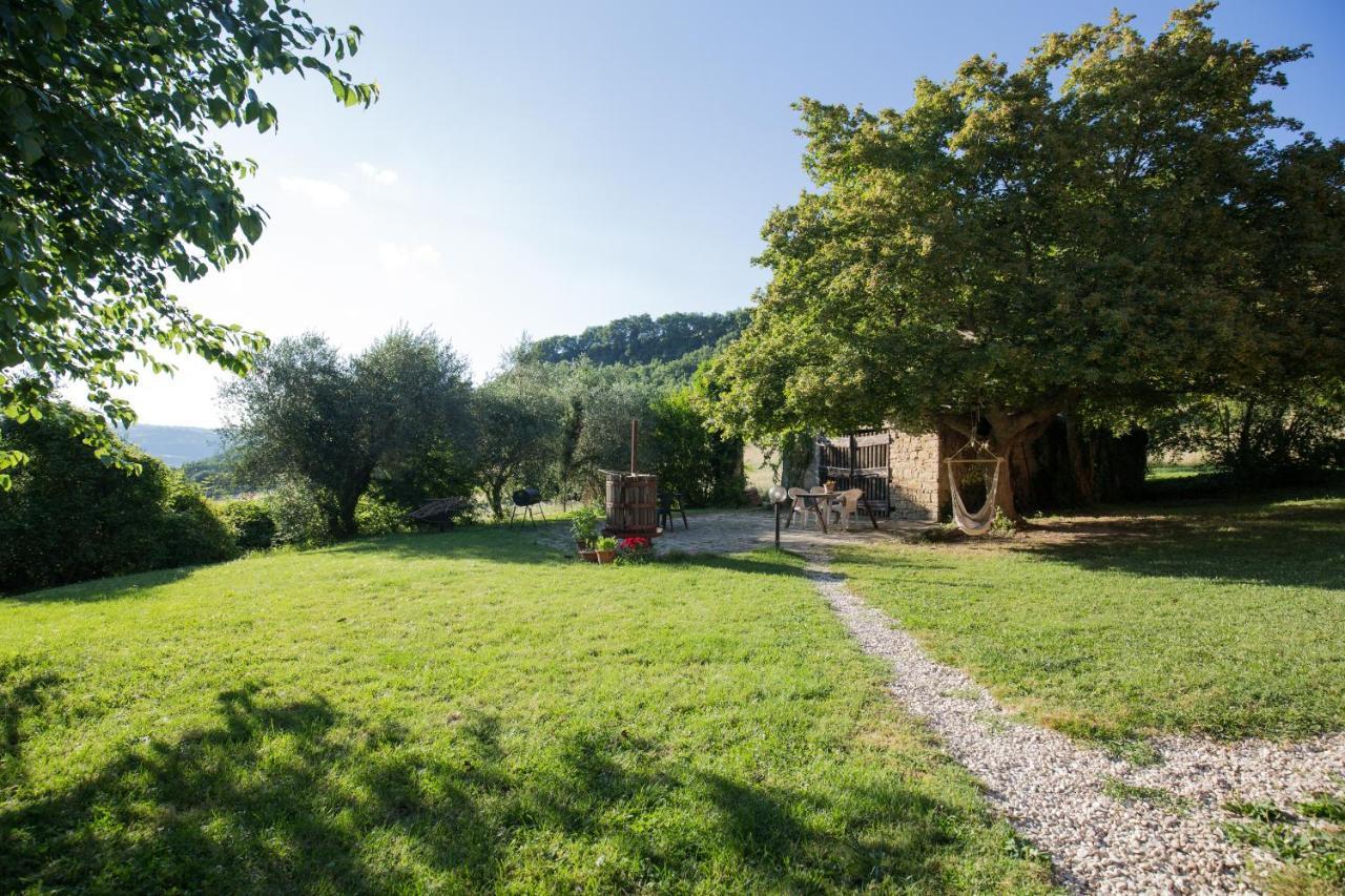 Agriturismo L'Esinante Cupramontana Экстерьер фото